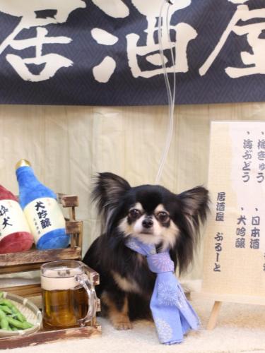 20240616アリューくん